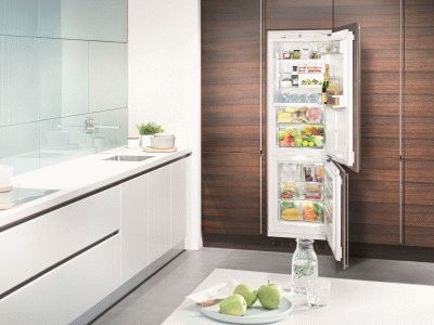 Обычный встраиваемый холодильник для кухни