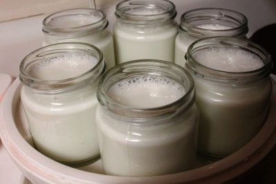 Создание йогурта в йогуртнице